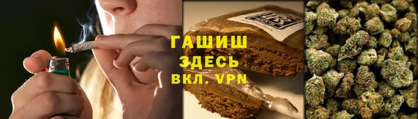стафф Алексин