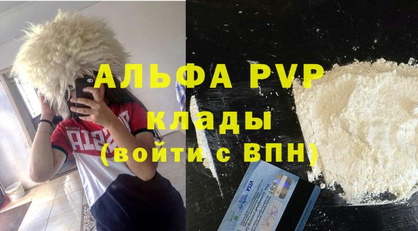 стафф Алексин