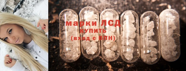 стафф Алексин