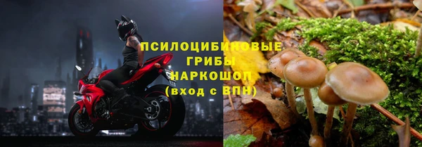 стафф Алексин
