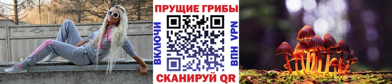 Галлюциногенные грибы Psilocybe  Зуевка 